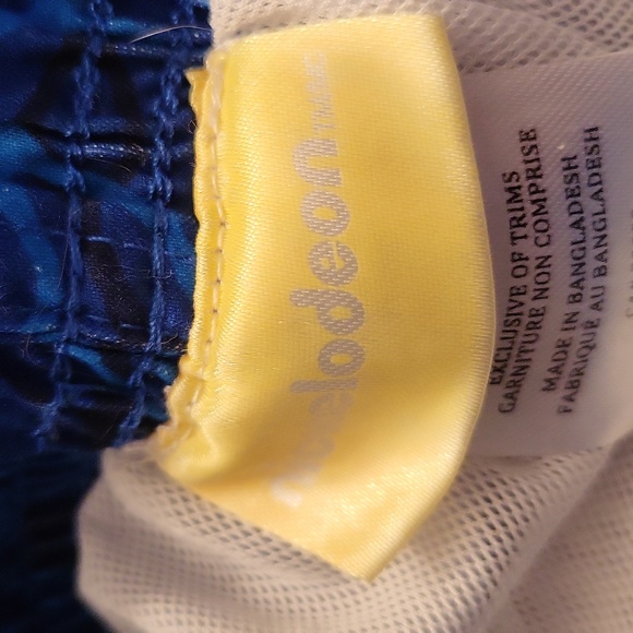 Paw Patrol mesh lined swim trunks - Picture 3 of 6